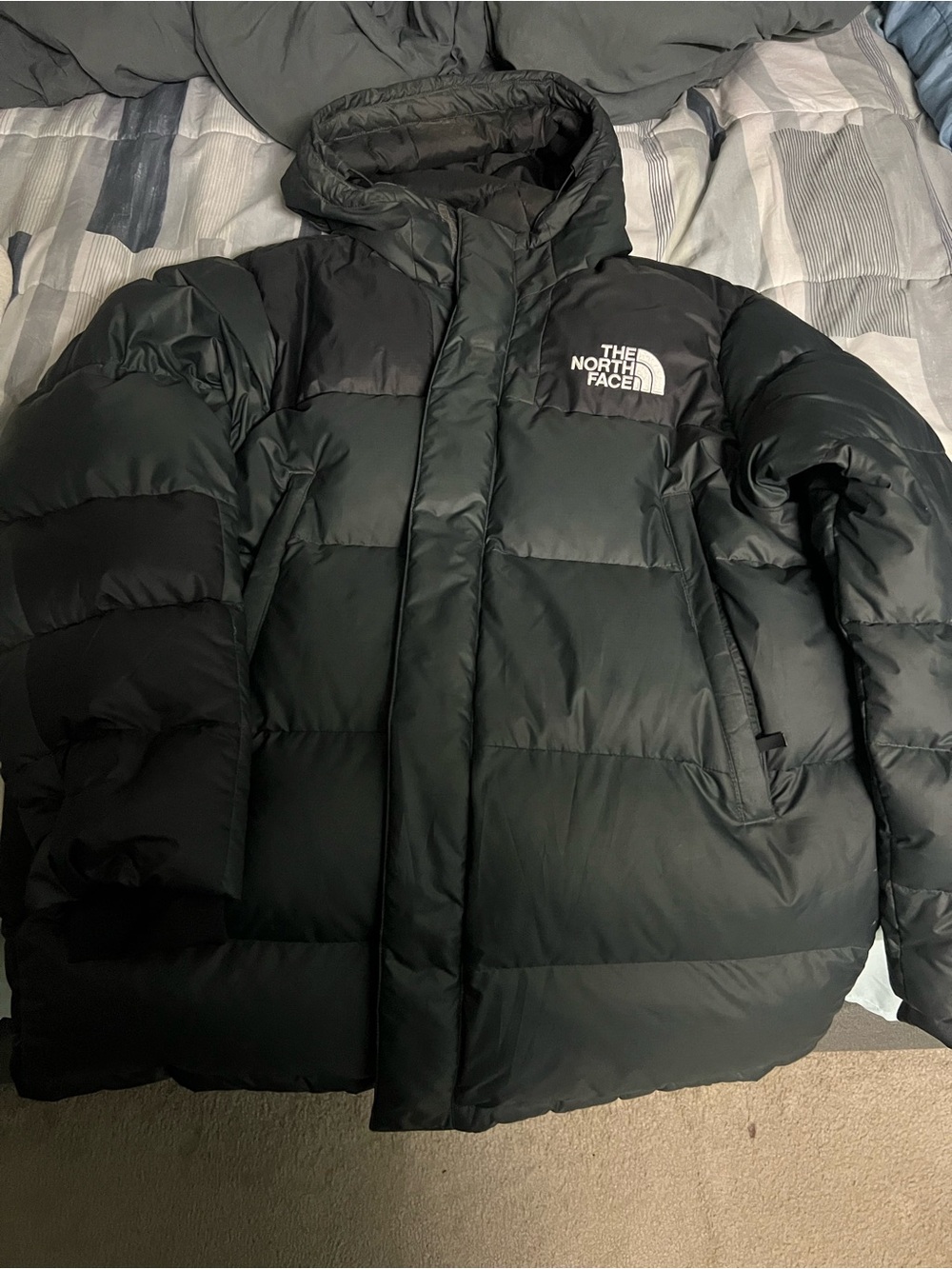 The North Face Black Hooded Puffer Coat